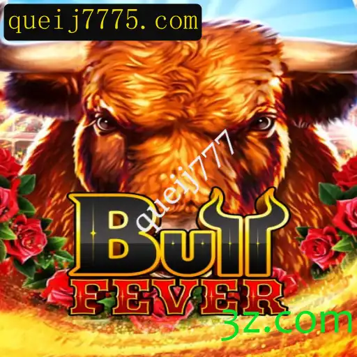BullFever: Uma Nova Experiência no Mundo dos Jogos
