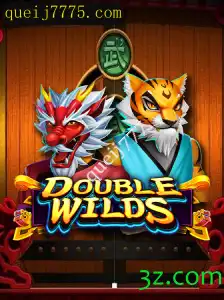 DoubleWilds: Descubra o Novo Fenômeno dos Jogos